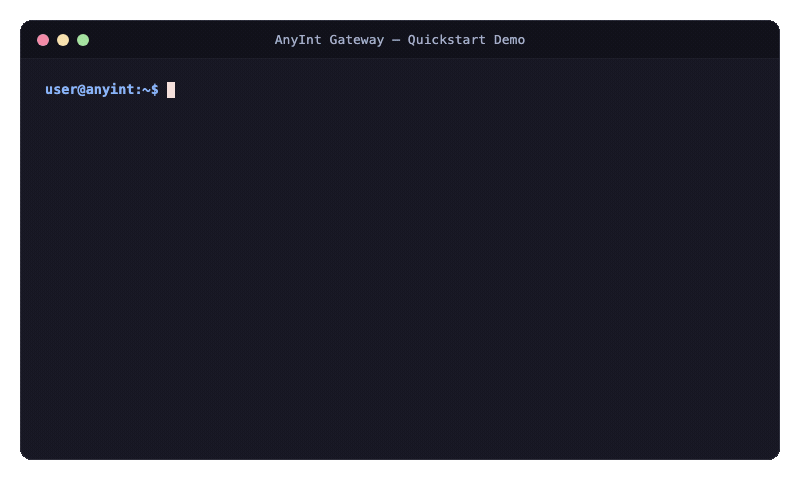 AnyInt Quickstart Terminal Demo
