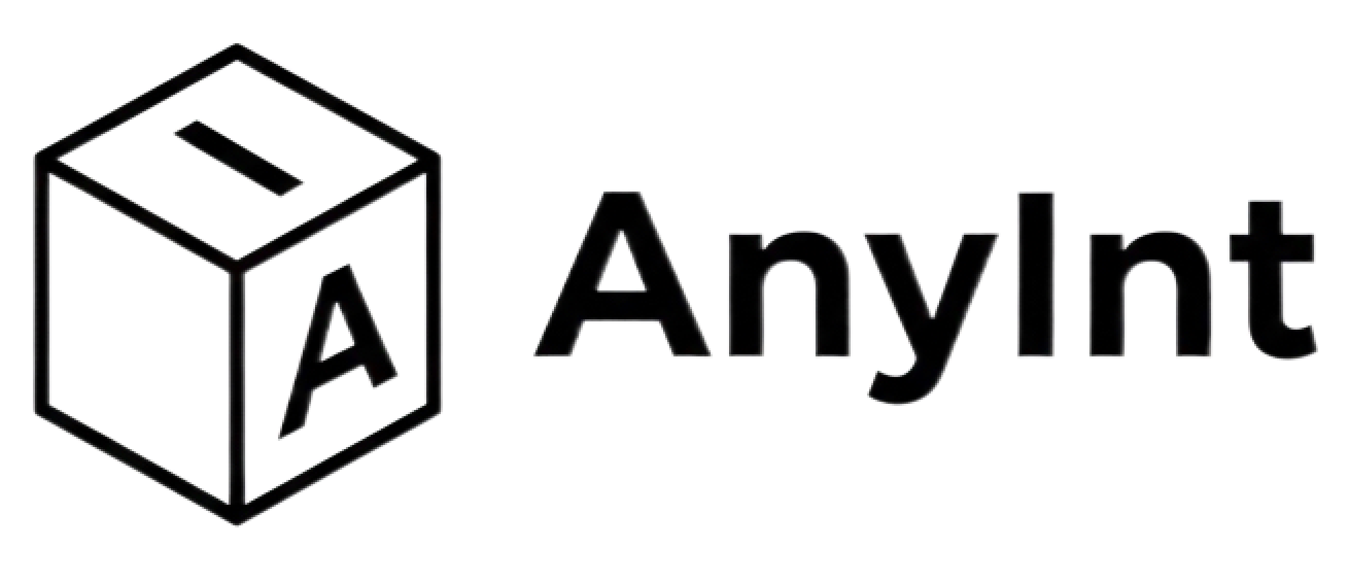AnyInt Logo